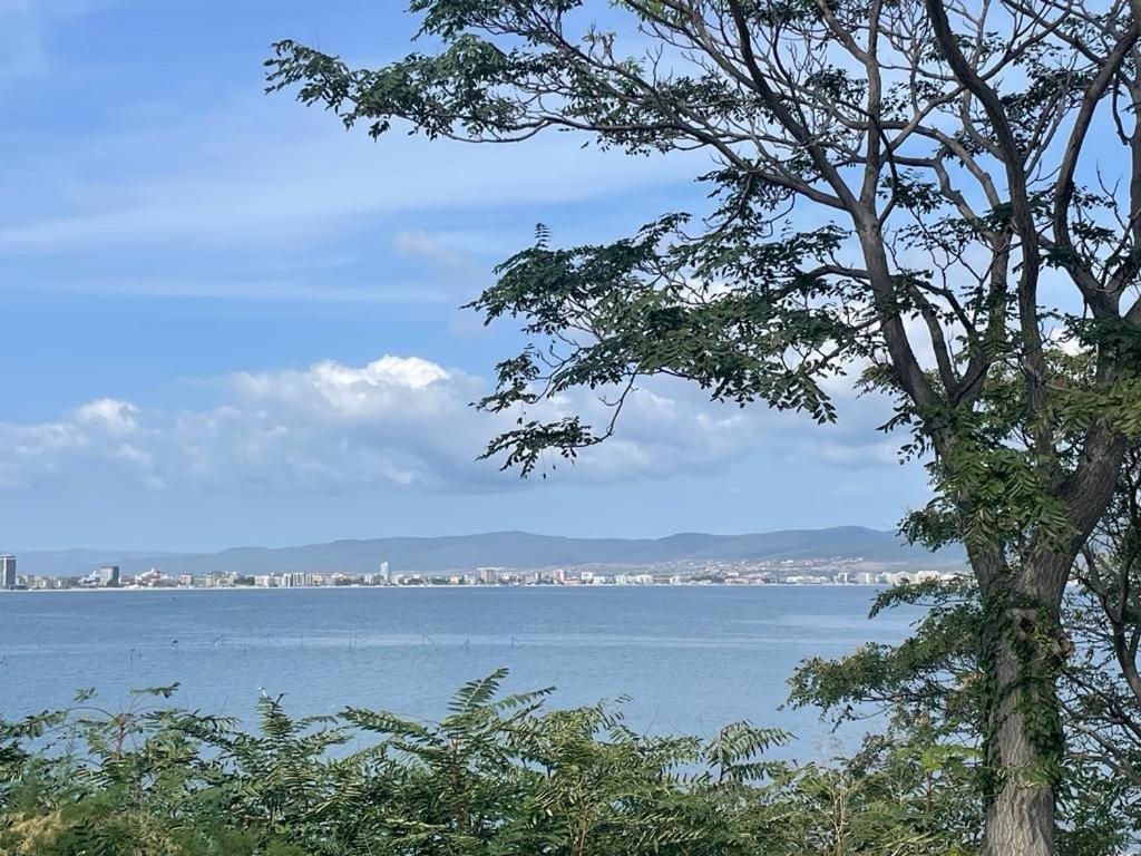 Apartment Sunny Beach Plaza 100 M Sea מראה חיצוני תמונה